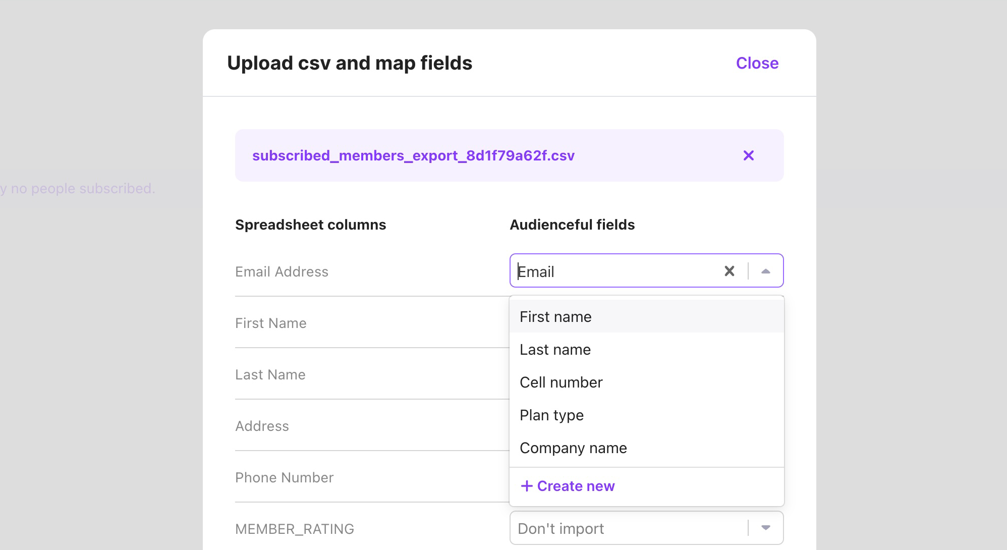 An example of mapping fields