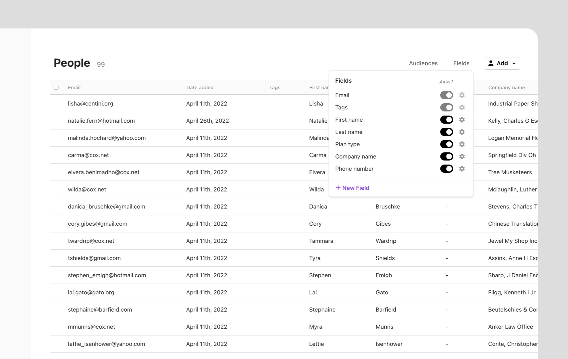 An example of custom fields