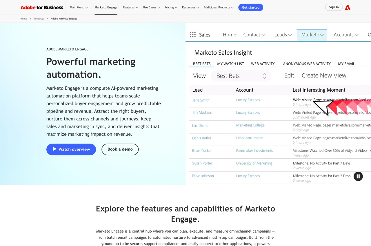 Marketo (Adobe) interface
