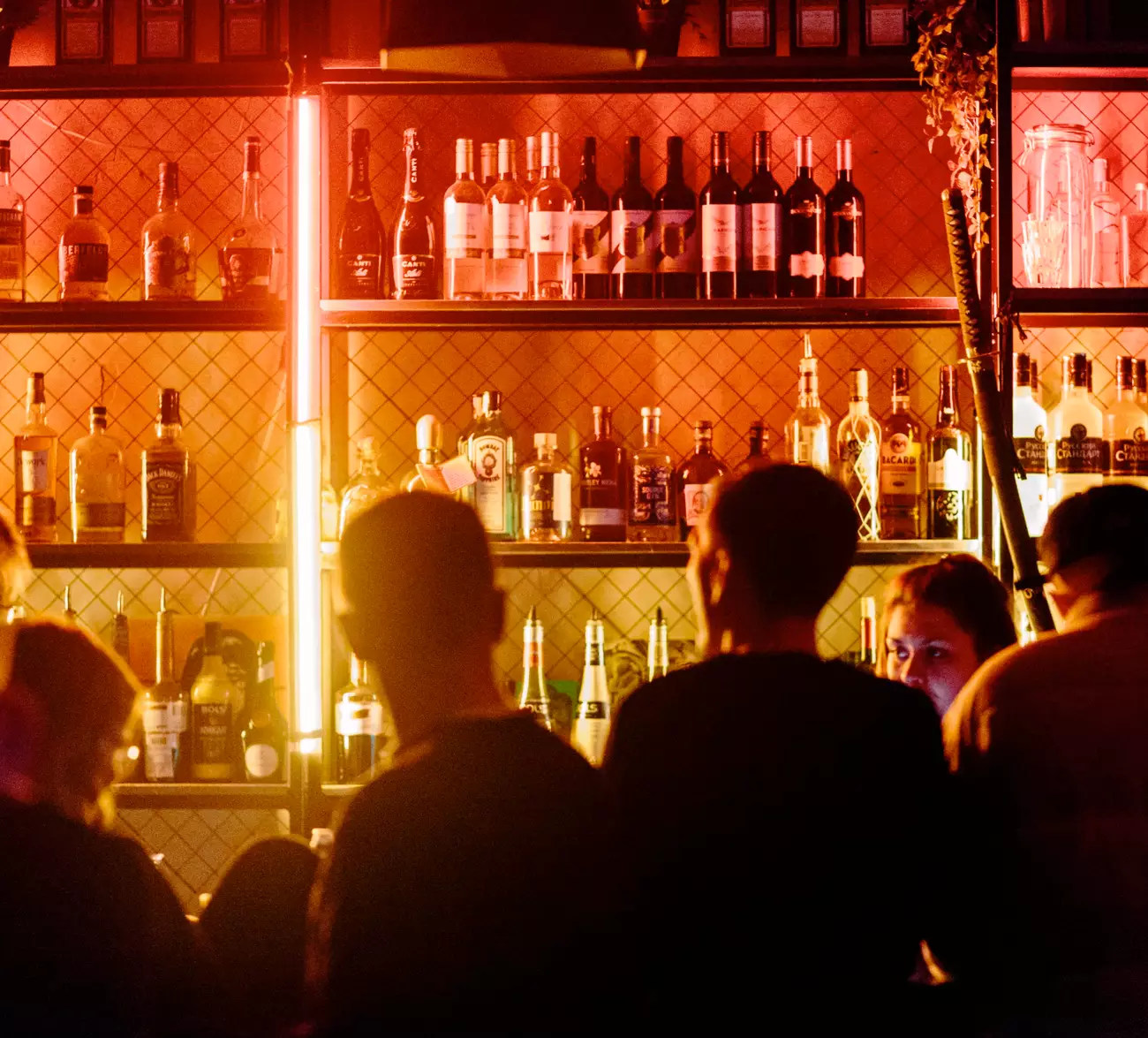 Email Marketing Software for Bars & Nightclubs